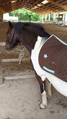 Personnalisation de mon tapis d’équitation